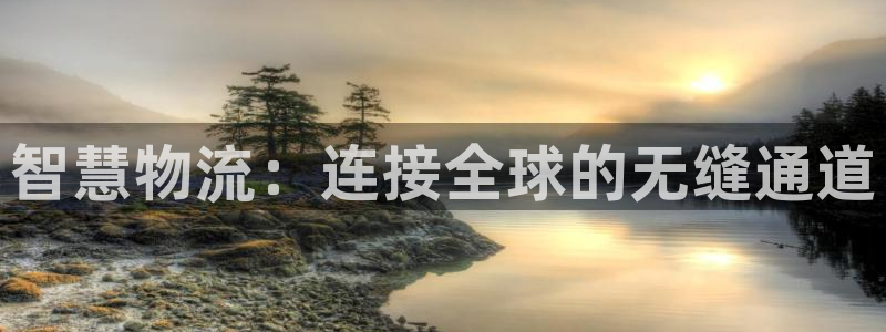 超凡国际赌博软件正规吗：智慧物流：连