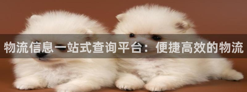 超凡国际PG电子游戏：物流信息一站式