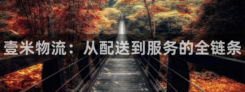 超凡国际反水怎么算：壹米物流：从配送