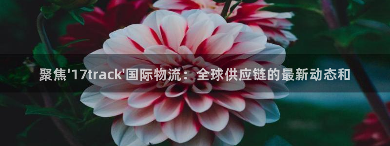 超凡国际头像：聚焦\'17track