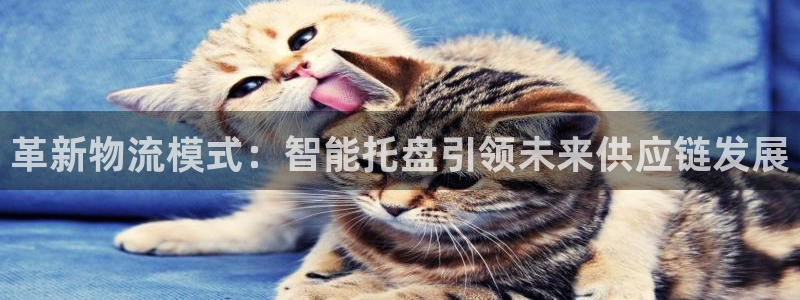 超凡国际能提现吗：革新物流模式：智能