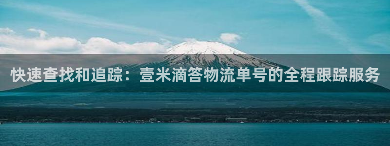 超凡国际加拿大模拟器：快速查找和追踪