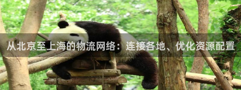 超凡国际p扣除：从北京至上海的物流网