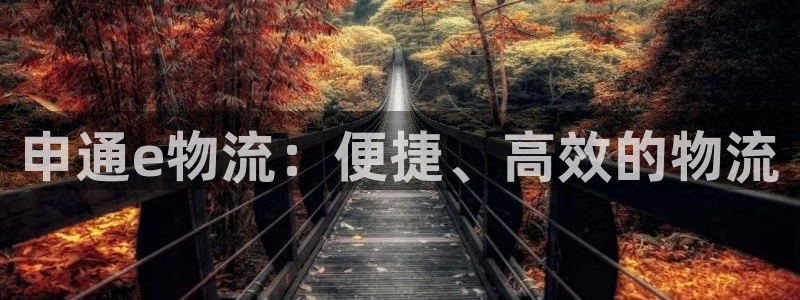 超凡国际ip被限制怎么解决：申通e物