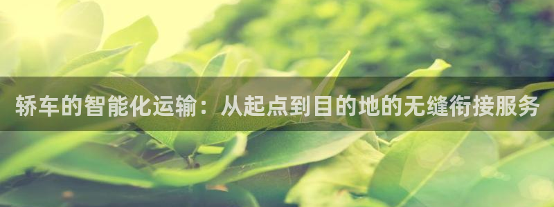 超凡国际连输10天：轿车的智能化运输