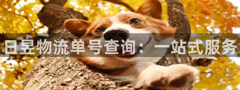 超凡国际自行车图片大全：日昱物流单号