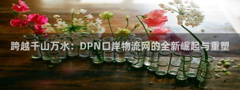 超凡国际游戏官网版：跨越千山万水：D