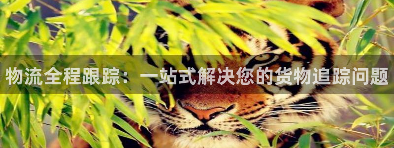 超凡国际加拿大pc预测：物流全程跟踪