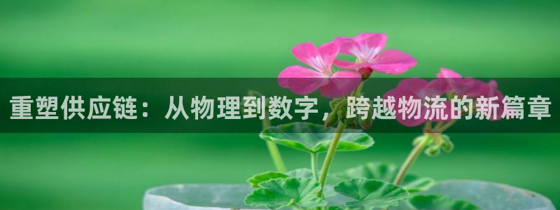 超凡国际口内径是多大：重塑供应链：从