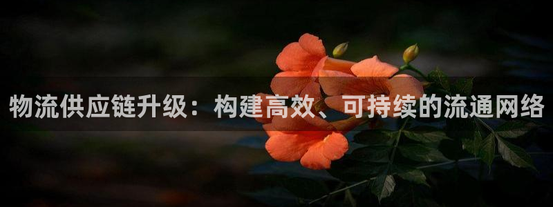 超凡国际预测：物流供应链升级：构建高
