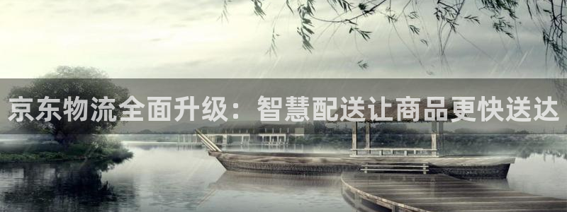 超凡国际官网入口官网：京东物流全面升