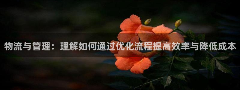 超凡国际赌博软件正规吗：物流与管理：