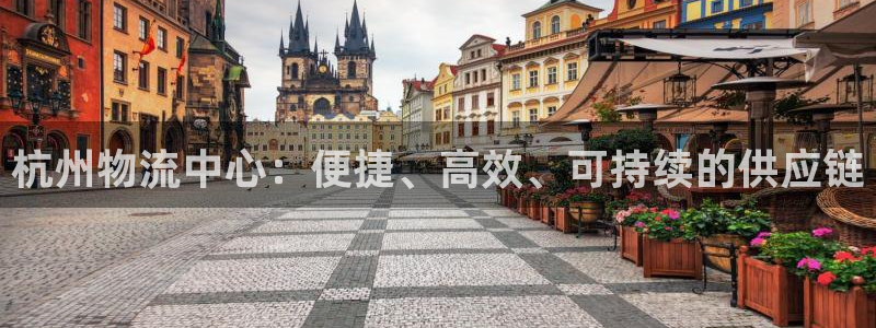 超凡国际下载不了:杭州物流中心:便捷