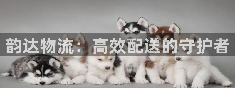 超凡国际注册教程：韵达物流：高效配送
