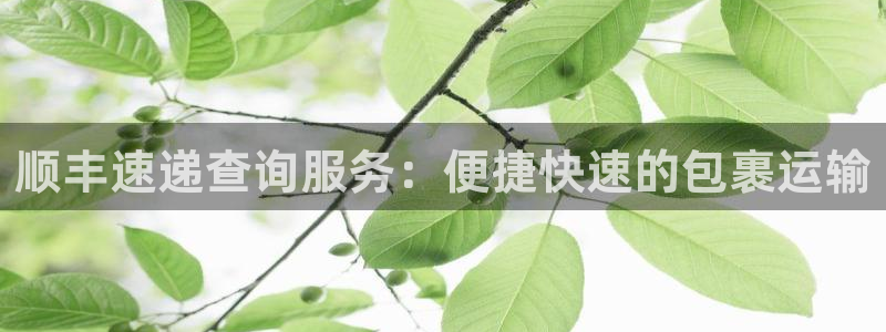 超凡国际是干嘛的：顺丰速递查询服务：