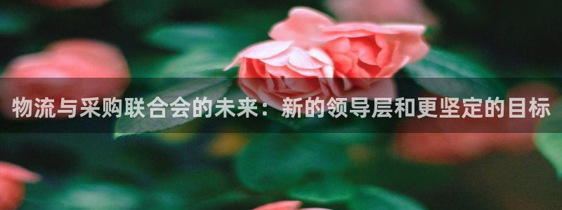 超凡国际怎么下载不了：物流与采购联合