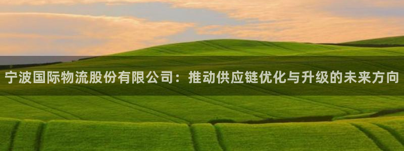 超凡国际注册网址：宁波国际物流股份有