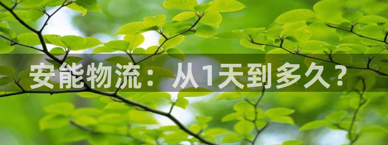 超凡国际注册网页版：安能物流：从1天