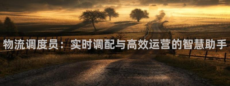 超凡国际v6能卖多少：物流调度员：实