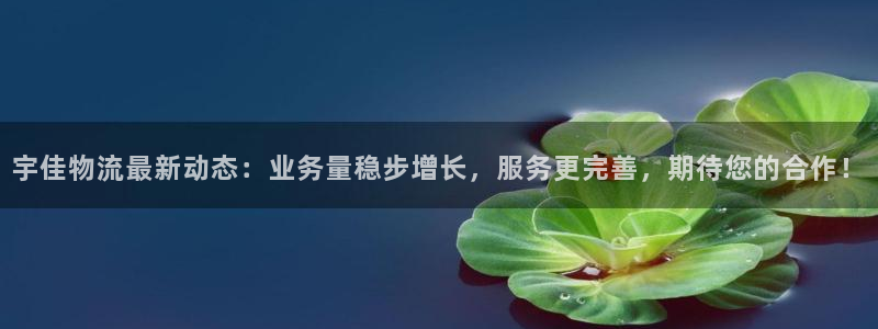 超凡国际充值不处理:宇佳物流最新动态