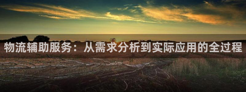 超凡国际登录流程：物流辅助服务：从需